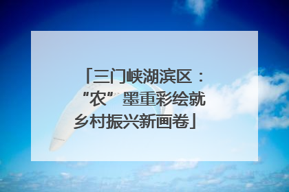 三门峡湖滨区：“农”墨重彩绘就乡村振兴新画卷