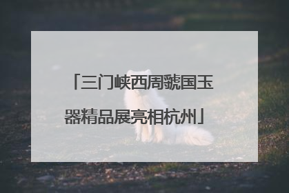 三门峡西周虢国玉器精品展亮相杭州
