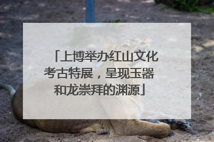 上博举办红山文化考古特展，呈现玉器和龙崇拜的渊源