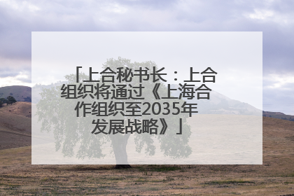 上合秘书长：上合组织将通过《上海合作组织至2035年发展战略》