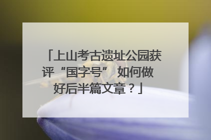 上山考古遗址公园获评“国字号” 如何做好后半篇文章？