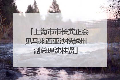 上海市市长龚正会见马来西亚沙捞越州副总理沈桂贤
