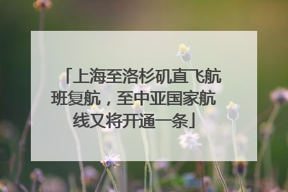 上海至洛杉矶直飞航班复航，至中亚国家航线又将开通一条
