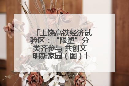 上饶高铁经济试验区：“限塑”分类齐参与 共创文明新家园（图）