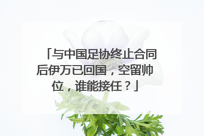 与中国足协终止合同后伊万已回国，空留帅位，谁能接任？