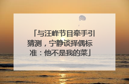 与汪峰节目牵手引猜测，宁静谈择偶标准：他不是我的菜