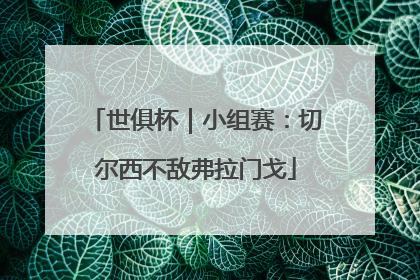 世俱杯｜小组赛：切尔西不敌弗拉门戈