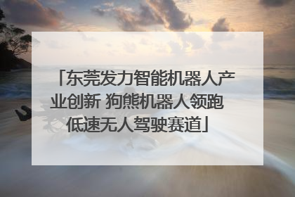东莞发力智能机器人产业创新 狗熊机器人领跑低速无人驾驶赛道
