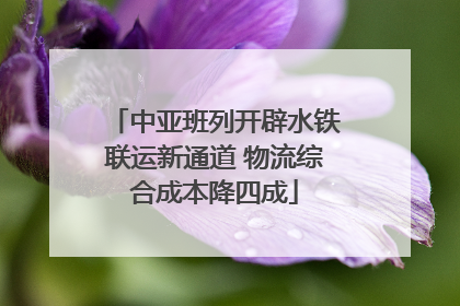 中亚班列开辟水铁联运新通道 物流综合成本降四成