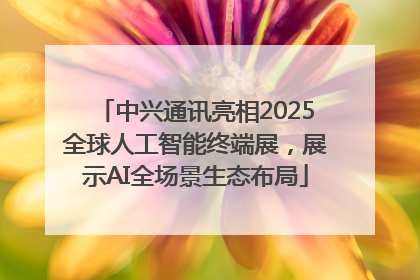中兴通讯亮相2025全球人工智能终端展，展示AI全场景生态布局