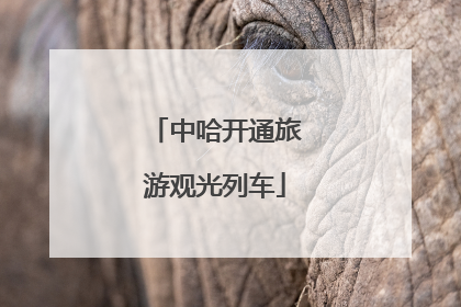 中哈开通旅游观光列车