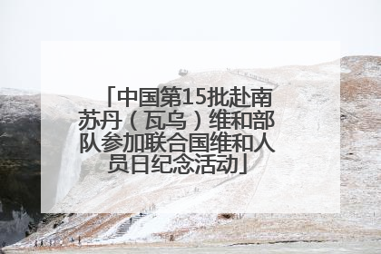 中国第15批赴南苏丹（瓦乌）维和部队参加联合国维和人员日纪念活动