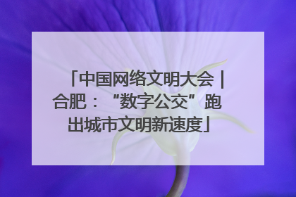 中国网络文明大会｜合肥：“数字公交”跑出城市文明新速度