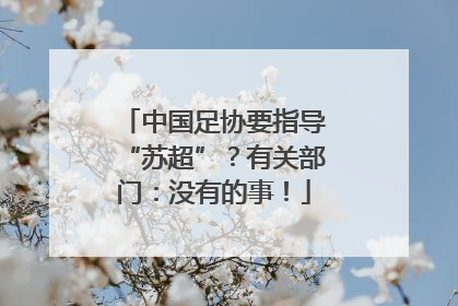 中国足协要指导“苏超”？有关部门：没有的事！