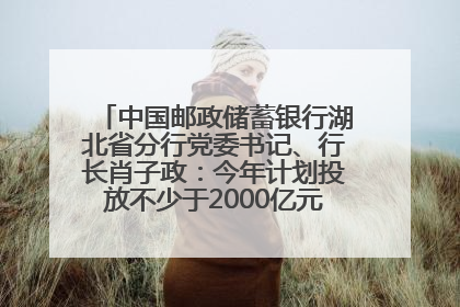 中国邮政储蓄银行湖北省分行党委书记、行长肖子政：今年计划投放不少于2000亿元支持支点建设