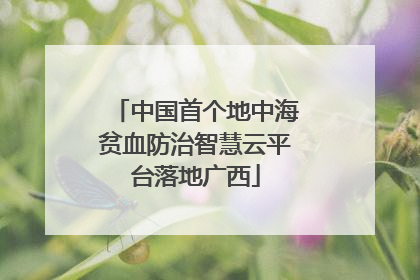 中国首个地中海贫血防治智慧云平台落地广西