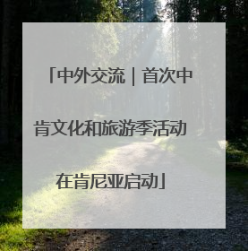 中外交流｜首次中肯文化和旅游季活动在肯尼亚启动
