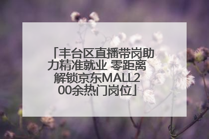 丰台区直播带岗助力精准就业 零距离解锁京东MALL200余热门岗位