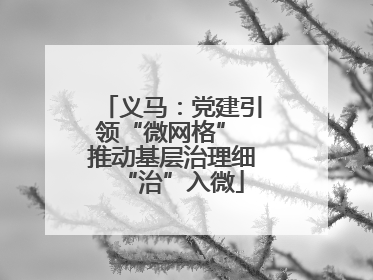 义马：党建引领“微网格” 推动基层治理细“治”入微
