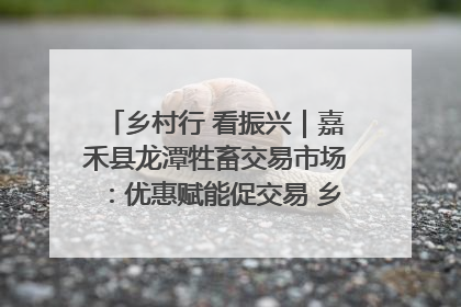 乡村行 看振兴｜嘉禾县龙潭牲畜交易市场：优惠赋能促交易 乡村振兴添动能