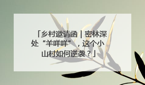 乡村邀请函｜密林深处“羊咩咩”，这个小山村如何逆袭？
