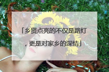 乡贤点亮的不仅是路灯，更是对家乡的深情