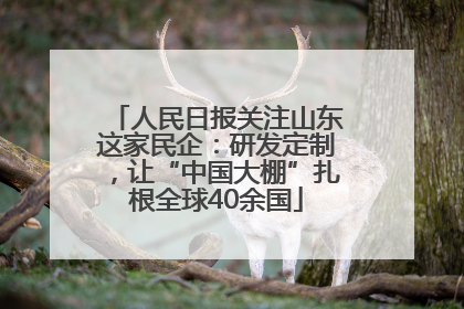 人民日报关注山东这家民企：研发定制，让“中国大棚”扎根全球40余国