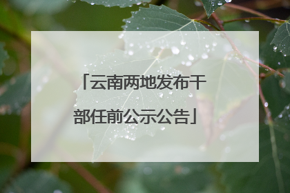 云南两地发布干部任前公示公告