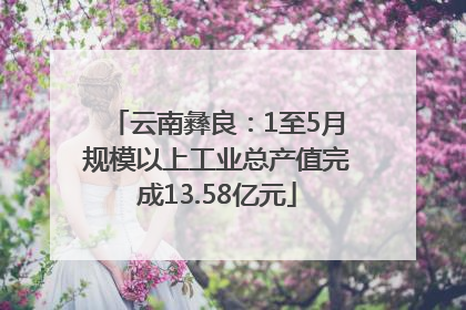 云南彝良：1至5月规模以上工业总产值完成13.58亿元