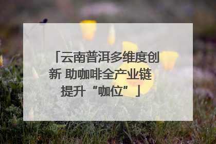 云南普洱多维度创新 助咖啡全产业链提升“咖位”