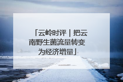 云岭时评｜把云南野生菌流量转变为经济增量