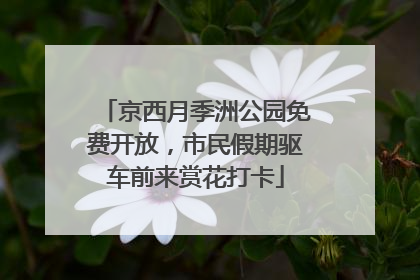 京西月季洲公园免费开放，市民假期驱车前来赏花打卡