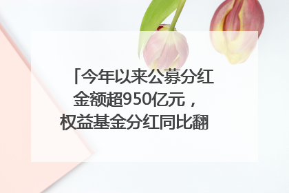 今年以来公募分红金额超950亿元，权益基金分红同比翻倍｜招财猫