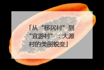 从“移民村”到“宜游村”：大源村的美丽蜕变