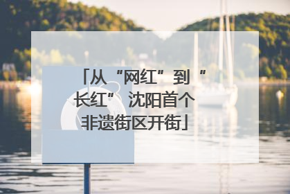 从“网红”到“长红” 沈阳首个非遗街区开街