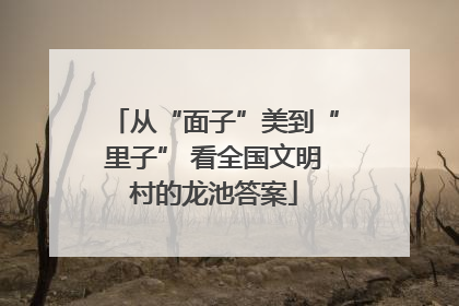 从“面子”美到“里子” 看全国文明村的龙池答案