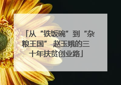 从“铁饭碗”到“杂粮王国” 赵玉娥的三十年扶贫创业路