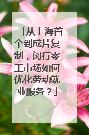 从上海首个到成片复制，闵行零工市场如何优化劳动就业服务？