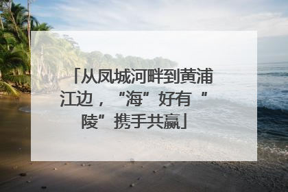 从凤城河畔到黄浦江边，“海”好有“陵”携手共赢