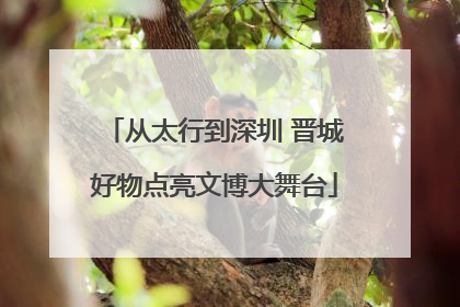 从太行到深圳 晋城好物点亮文博大舞台