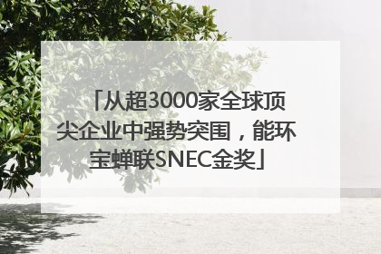 从超3000家全球顶尖企业中强势突围，能环宝蝉联SNEC金奖