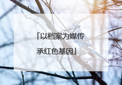 以档案为媒传承红色基因