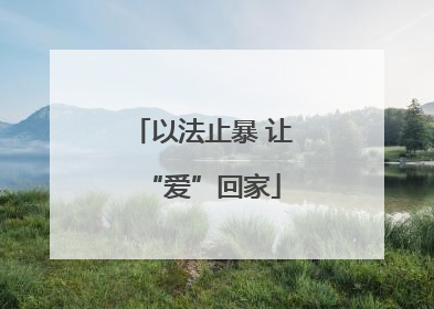 以法止暴 让“爱”回家