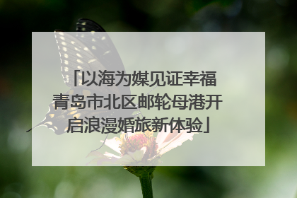以海为媒见证幸福 青岛市北区邮轮母港开启浪漫婚旅新体验