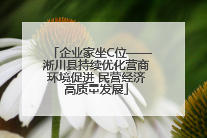 企业家坐C位——淅川县持续优化营商环境促进 民营经济高质量发展