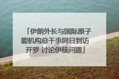 伊朗外长与国际原子能机构总干事同日到访开罗 讨论伊核问题