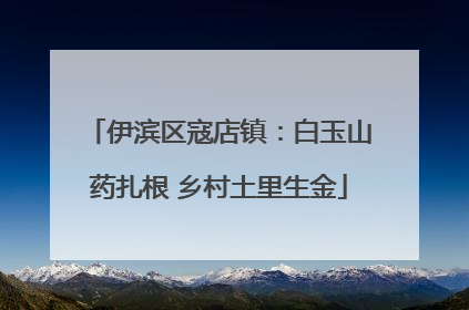 伊滨区寇店镇：白玉山药扎根 乡村土里生金