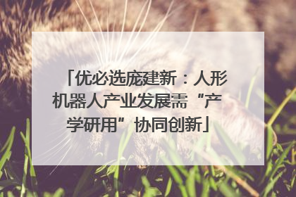优必选庞建新：人形机器人产业发展需“产学研用”协同创新