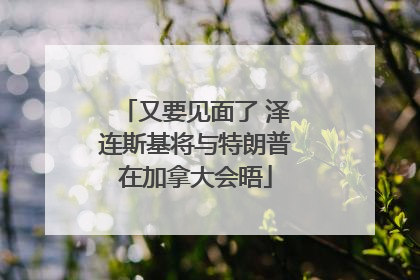 又要见面了 泽连斯基将与特朗普在加拿大会晤