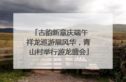 古韵新章庆端午 祥龙巡游展风华，青山村举行游龙盛会